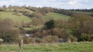 Paysage de bocage