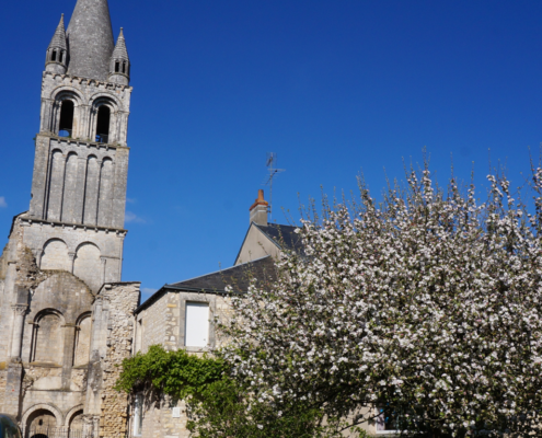 Photographie de l’Abbaye de Déols côté jardins