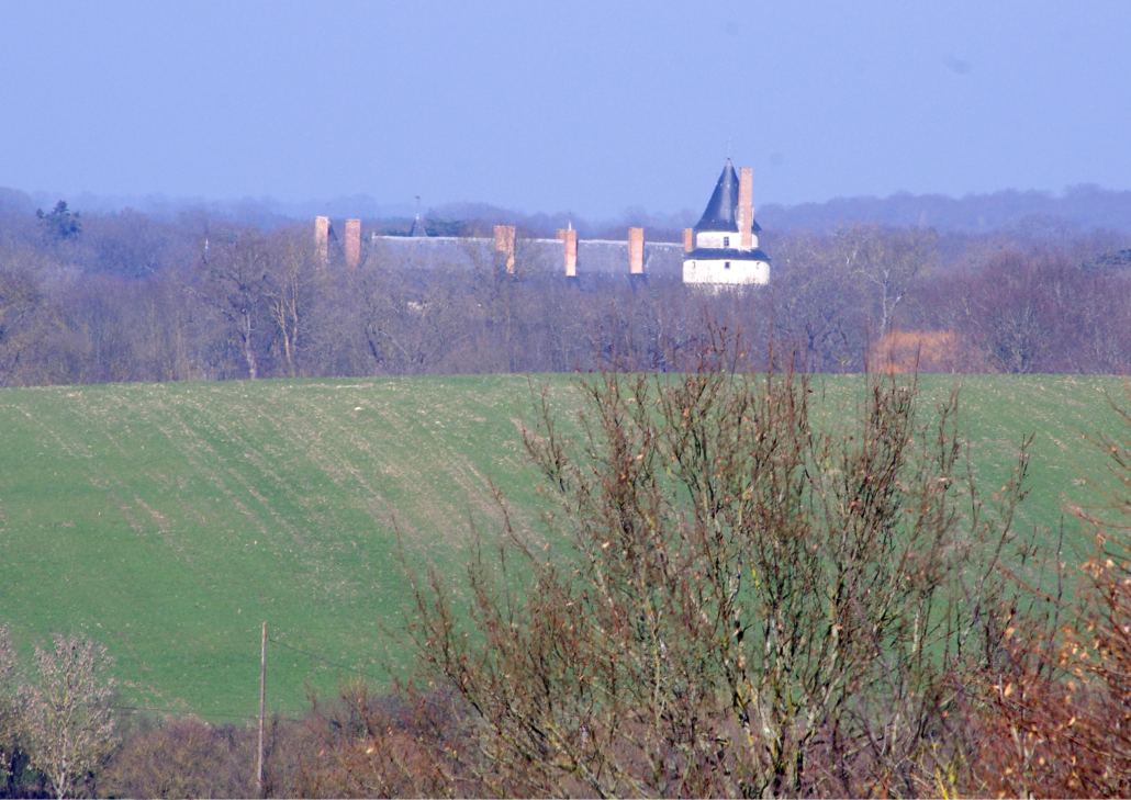 Vue depuis le promontoire sur le château du Plessis-Bourré
