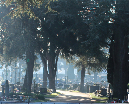Une continuité paysagère avec le cimetière actuel