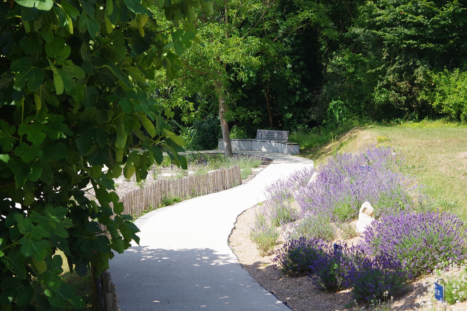 Banc béton et bois à l'ombre