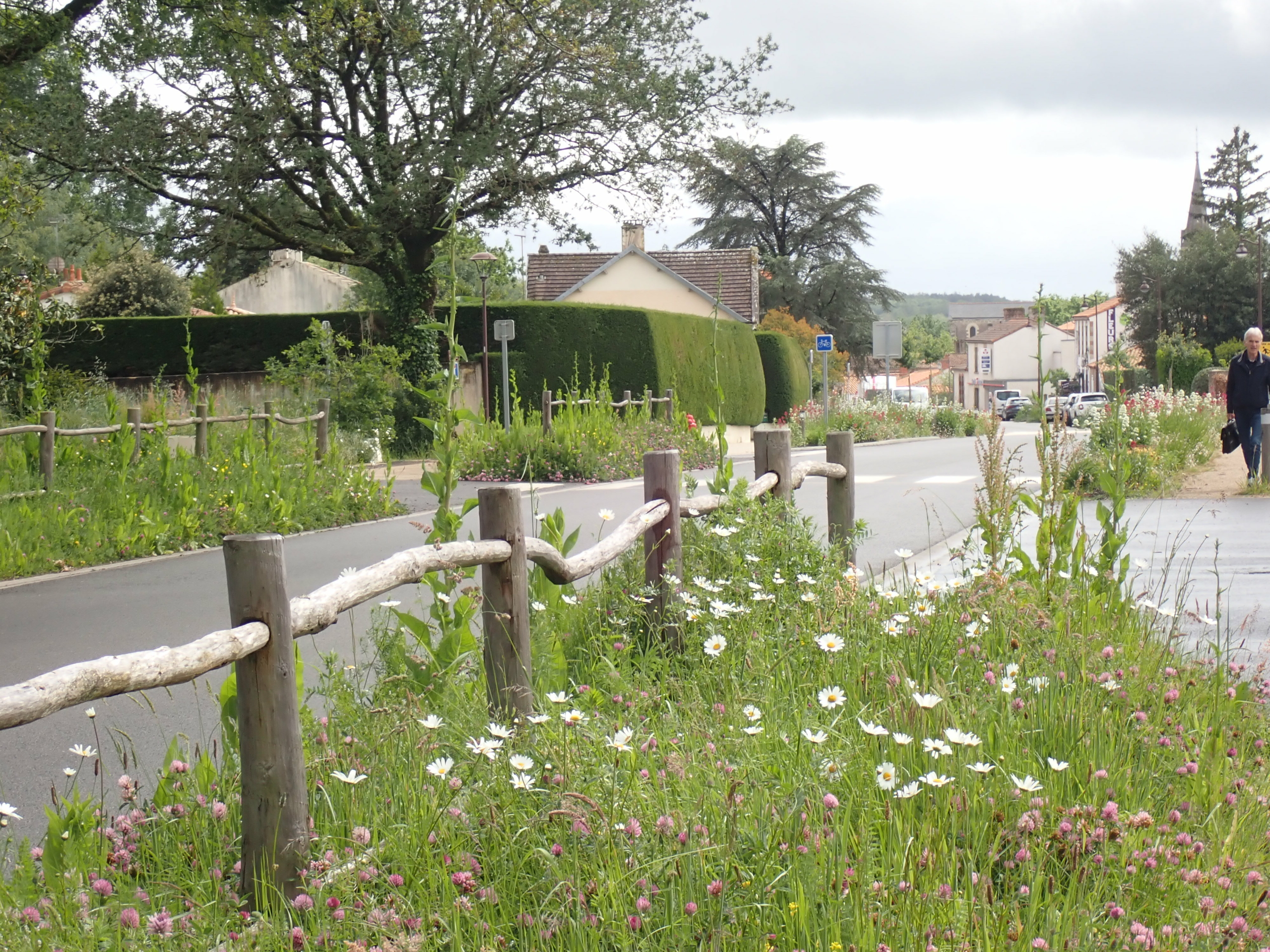 Photo de l'aménagement