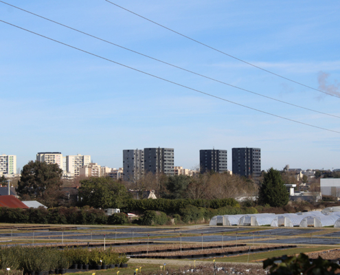 Vue sur Angers