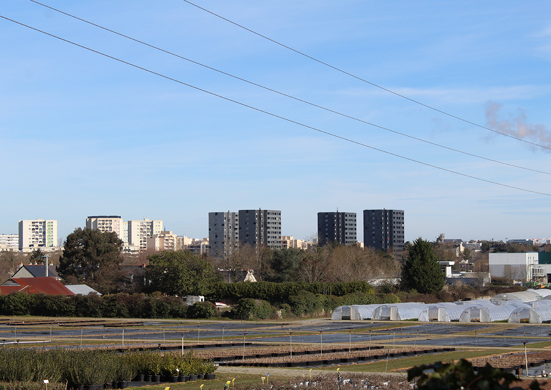 Vue sur Angers