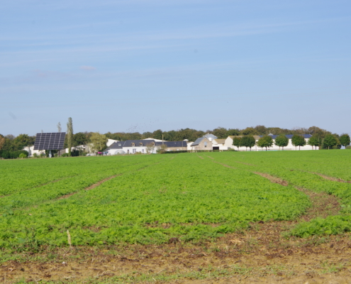 vue sur le paysage