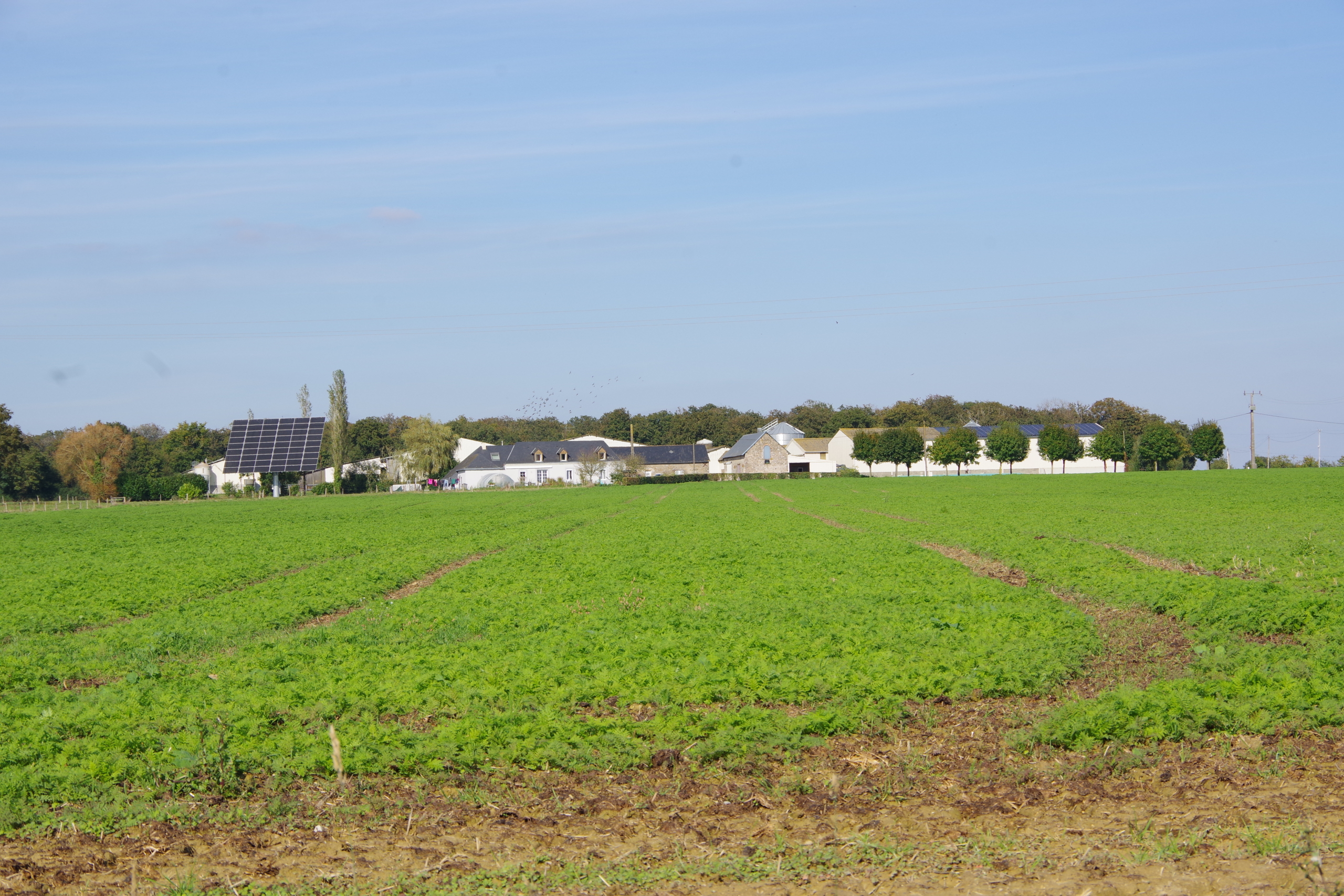 vue sur le paysage