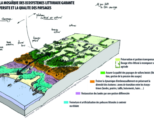 Bloc diagramme des enjeux