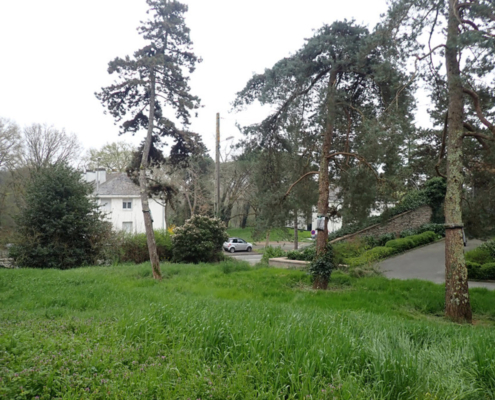 Photo du site