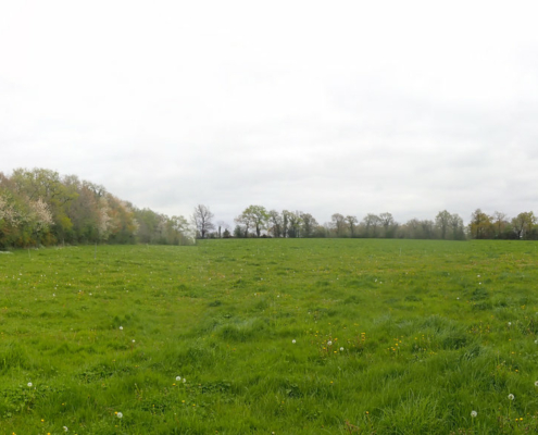 Vue panoramique du site