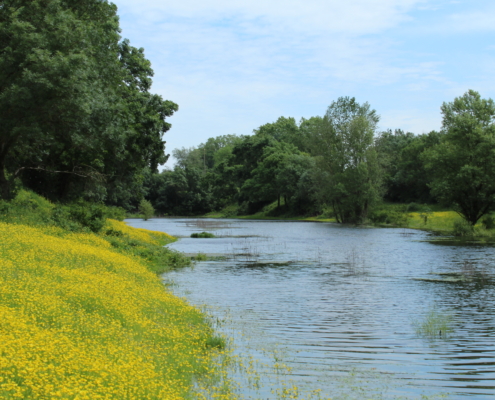 Vue sur la Loire