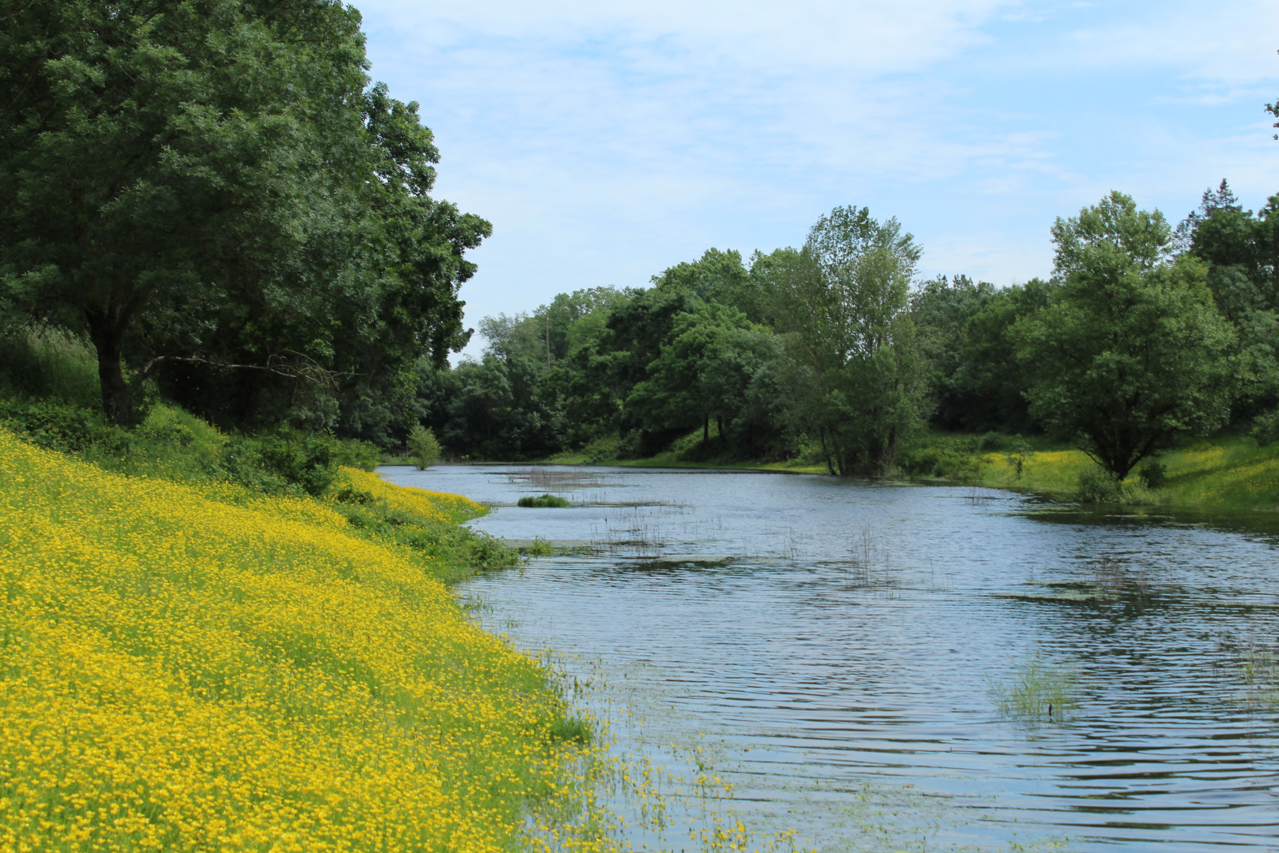 Vue sur la Loire
