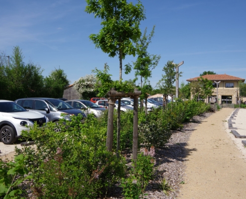 Bande végétale du parking