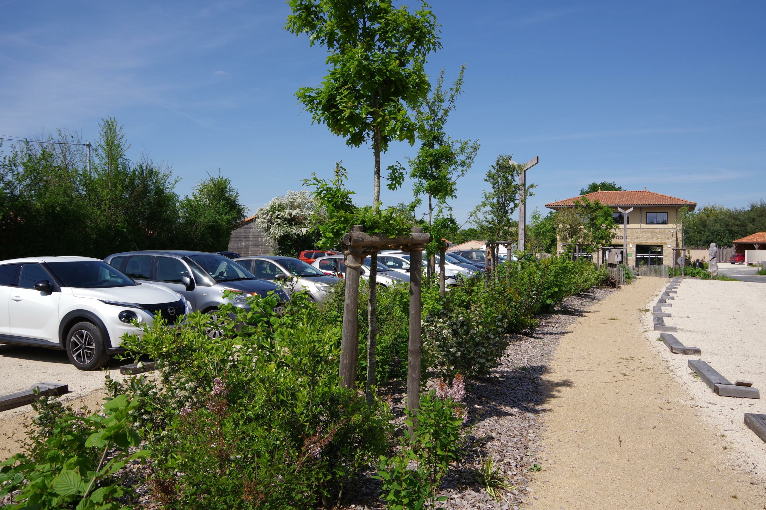 Bande végétale du parking