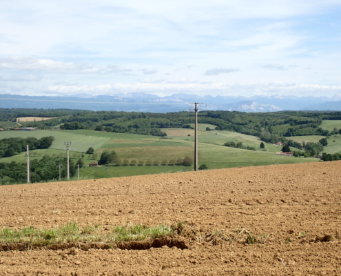Paysage