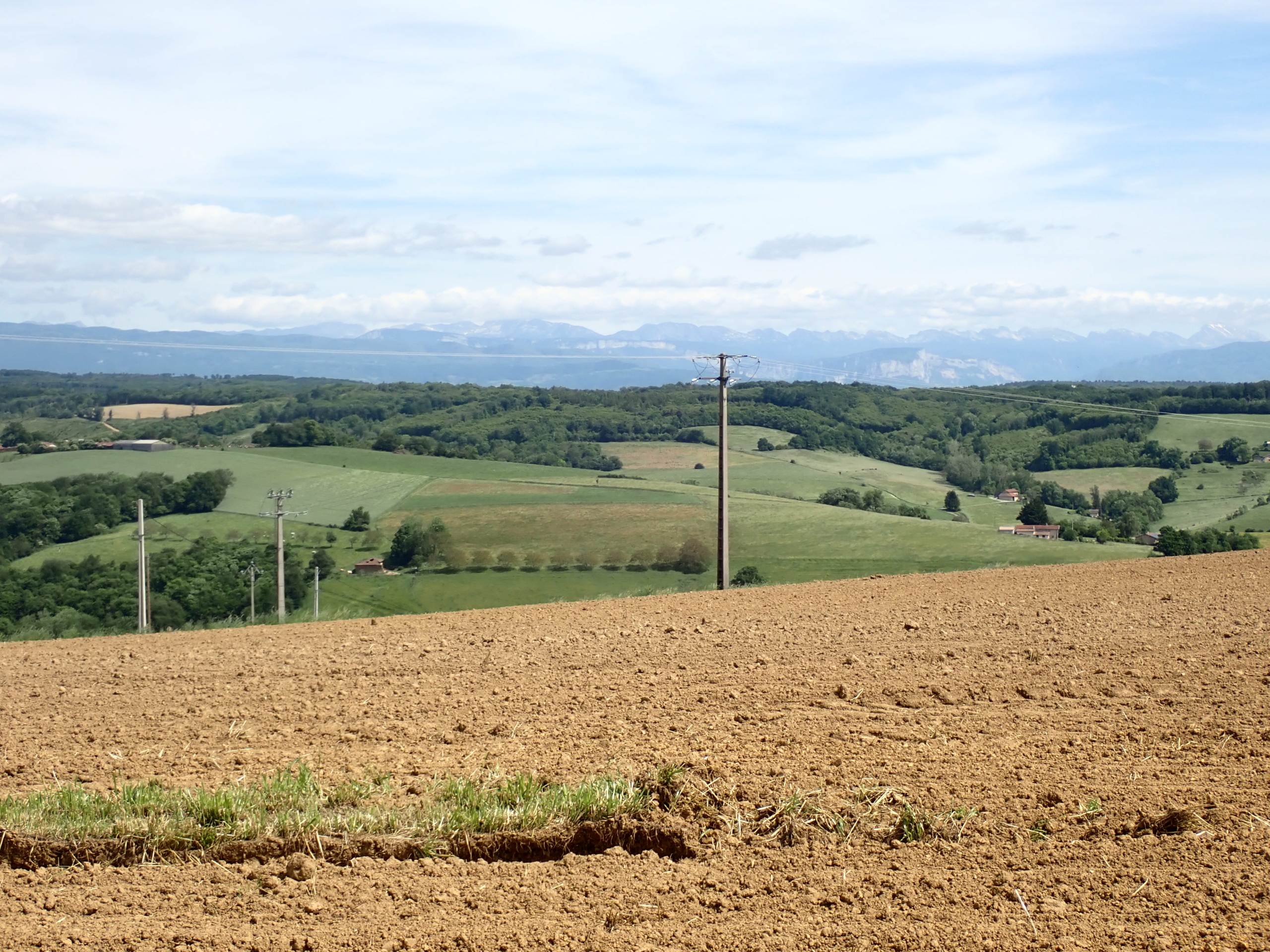 Paysage