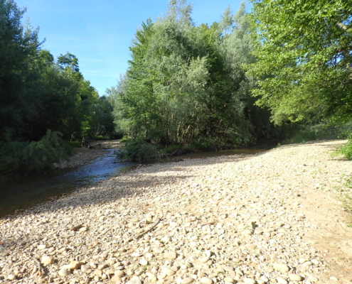 Paysage
