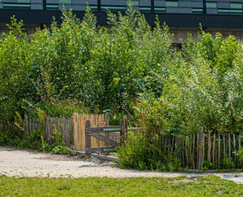 Image de référence d'une mini forêt
